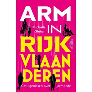Michelle Ginée Arm in rijk Vlaanderen -   (ISBN: 9789464984279)