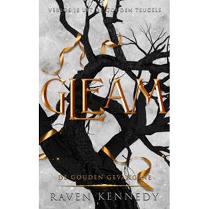 Raven Kennedy Gleam -   (ISBN: 9789464406818)