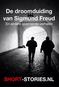 Daniel Stern De droomaanduiding van Sigmund Freud -   (ISBN: 9789464937237)