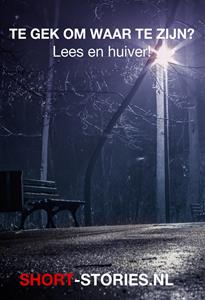 Publiek Domein Te gek om waar te zijn℃ -   (ISBN: 9789464937381)