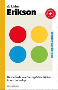 Wouter van Bergen De kleine Erikson -   (ISBN: 9789047018520)