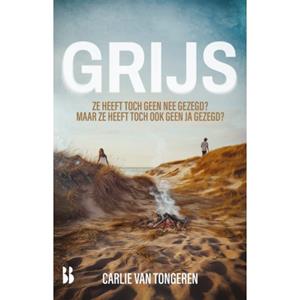 Carlie van Tongeren Grijs -   (ISBN: 9789463496049)