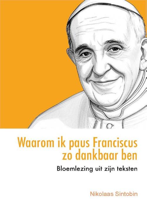 Nikolaas Sintobin Waarom ik paus Franciscus zo dankbaar ben -   (ISBN: 9789493395442)