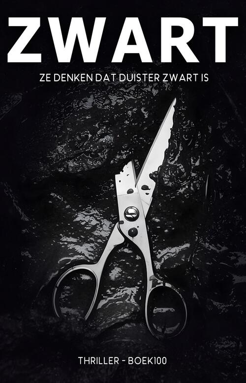 Ronald van Assen Zwart -   (ISBN: 9789464642872)