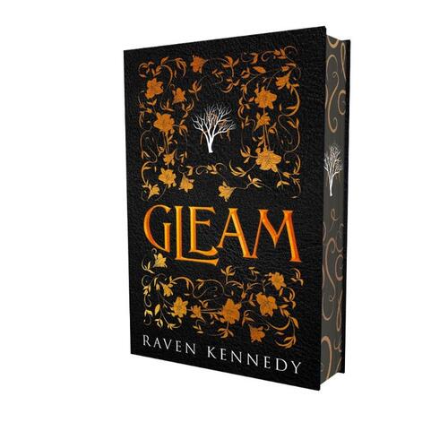 Raven Kennedy Gleam -   (ISBN: 9789464406832)