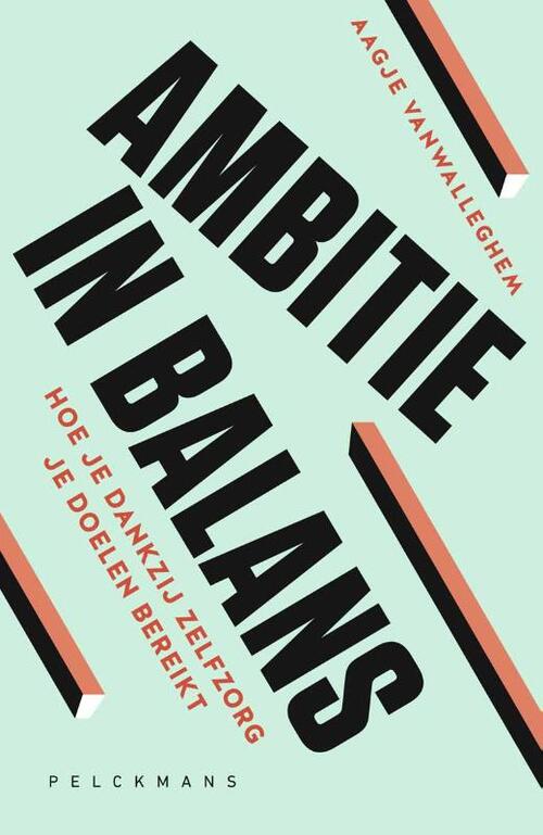Aagje Vanwalleghem Ambitie in balans -   (ISBN: 9789462348820)