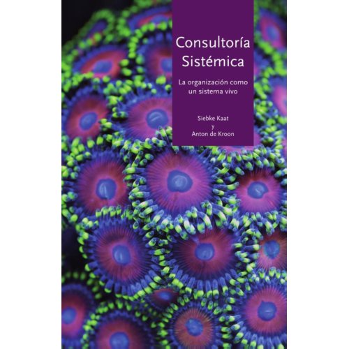Vrije Uitgevers, De Consultoria Sistemica - Siebke Kaat