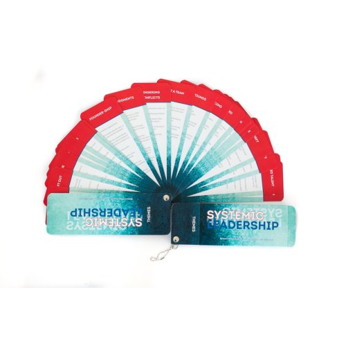 Vrije Uitgevers, De Systemic Leadership Fan - Jan Jacob Stam