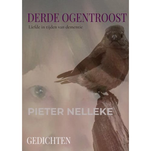 Mijnbestseller B.V. Derde Ogentroost - ELLE WERNERS