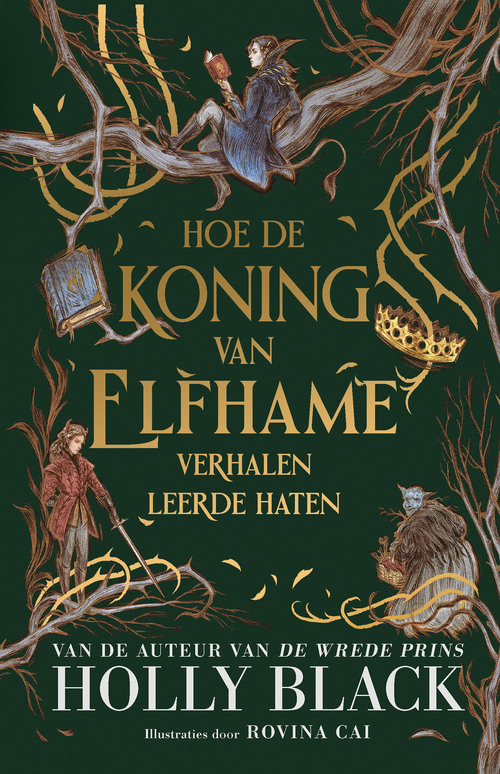 Holly Black Hoe de koning van Elfhame verhalen leerde haten -   (ISBN: 9789402327953)