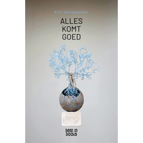 Boeken.Cafe Alles Komt Goed - Kris Vanspauwen