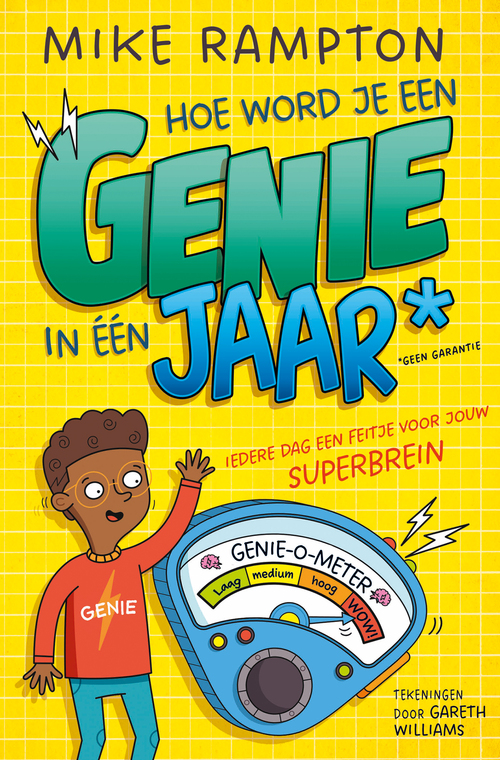 Mike Rampton Hoe word je een genie in één jaar -   (ISBN: 9789026183065)