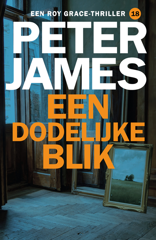 Peter James Een dodelijke blik -   (ISBN: 9789026176197)