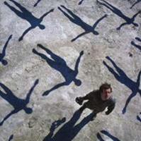 Warner Music Uk Absolution - Muse