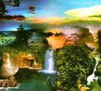 Thrill Jockey It's All Around You - Tortoise