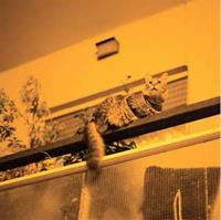 Thrill Jockey Republic - Sam Prekop