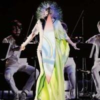 One Little Independent Vulnicura Strings - Bjork
