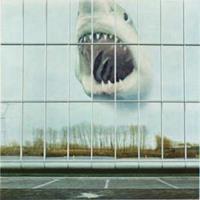 Jagjaguwar Wilderness Heart - Black Mountain