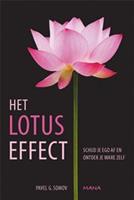 Het lotuseffect - Pavel Somov