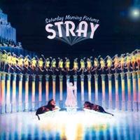 BMG Saturday Morning Pictures - Stray