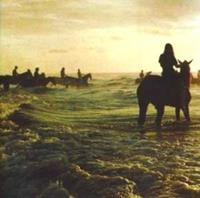 Warner Music Uk Holy Fire - Foals