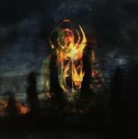 Aural Music Carrion Skies - Fen