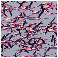 Wea Gore - Deftones