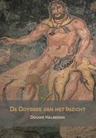 De Odyssee van het inzicht - Douwe Halbesma