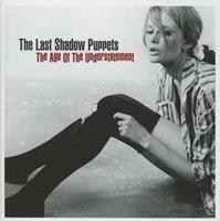 Domino Age Of The Understatement - Last Shadow Puppets