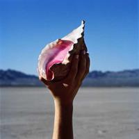 The Killers - WONDERFUL WONDERFUL CD