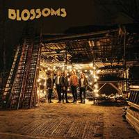 Virgin Blossoms - Blossoms