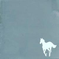 Maverick White Pony - Deftones