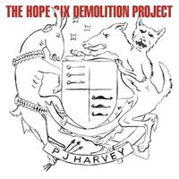 Island The Hope Six Demolition Project - Pj Harvey