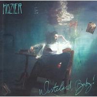 Columbia Wasteland, Baby! - Hozier