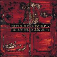 Island Maxinquaye - Tricky