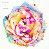 Virgin Colours - Walking On Cars