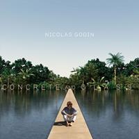 Virgin Concrete And Glass - Nicolas Godin