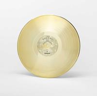 Hollywood Possession - Joywave