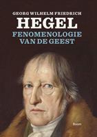 Willem Visser Fenomenologie van de geest -  (ISBN: 9789024446377)