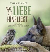 Tanja Brandt Wo die Liebe hinfliegt