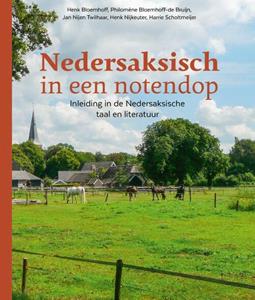 Harrie Scholtmeijer Nedersaksisch in een notendop -   (ISBN: 9789023256670)