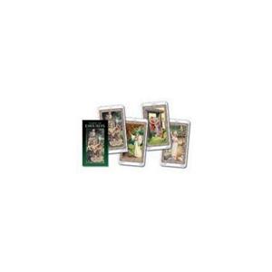Van Ditmar Boekenimport B.V. Tarot of the druids - Bepi Vigna