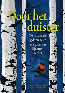 Llyn Roberts, Sandra Ingerman Door het duister -   (ISBN: 9789491557811)