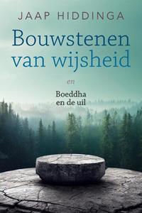 Jaap Hiddinga Bouwstenen van wijsheid -   (ISBN: 9789493358867)
