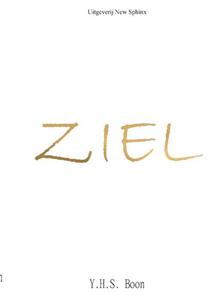 Y.H.S. Boon Ziel -   (ISBN: 9789465113371)