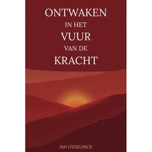 Gyselinck Jan Ontwaken in het vuur van de kracht -   (ISBN: 9789082706185)