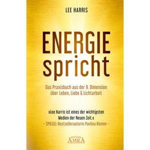 Van Ditmar Boekenimport B.V. Energie Spricht: Praxisbuch Aus Der 9. Dimension - Lee Harris