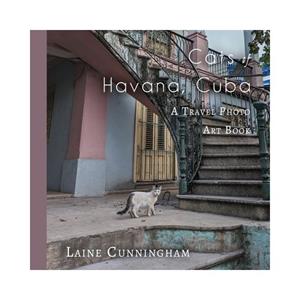 Paagman Cats Of Havana, Cuba - Travel Photo Art - Laine Cunningham
