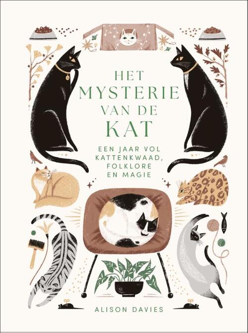 Alison Davies Het mysterie van de kat -   (ISBN: 9789401306355)