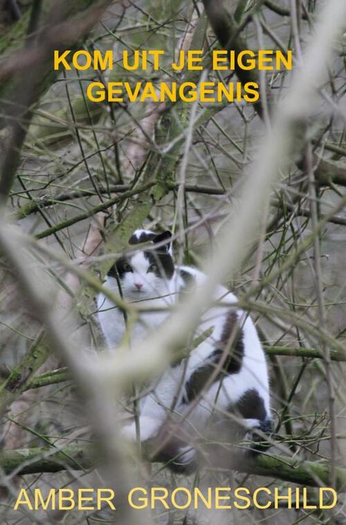 Amber Groneschild Kom uit je eigen gevangenis -   (ISBN: 9789464659818)